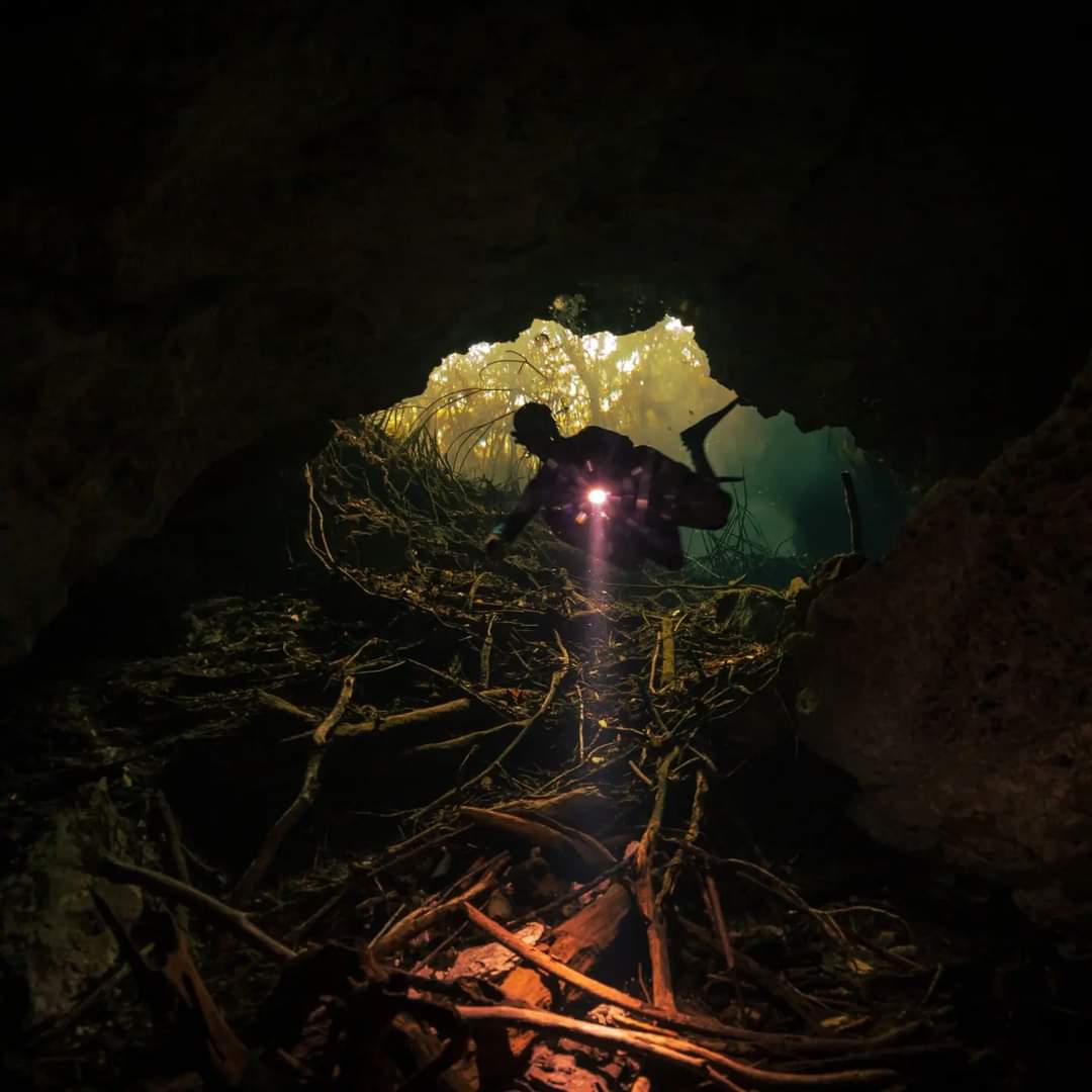 /views/src/image/cenotes/2.jpg