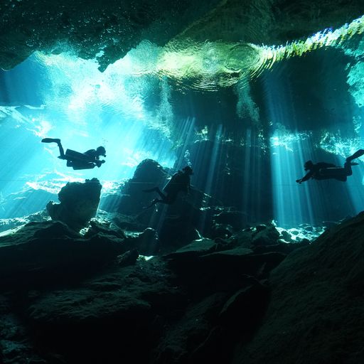 /views/src/image/cenotes/3.jpg