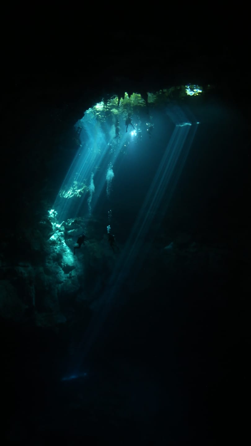 /views/src/image/cenotes/4.jpg