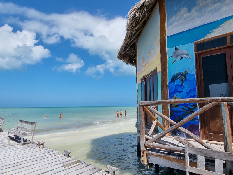 excursions holbox